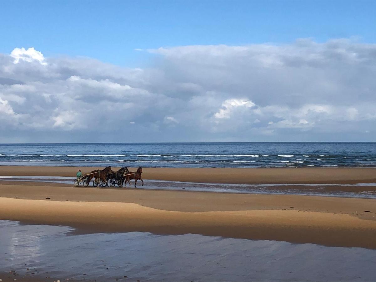 Maison Proche Omaha Beach Vue Imprenable Sur Haras Etreham Exterior photo